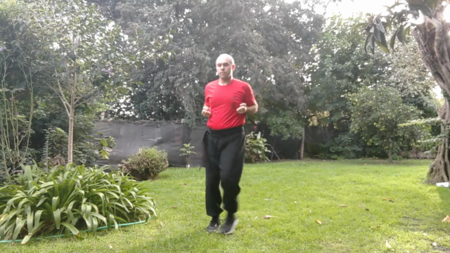 Biu Jee Tao - 3er Forma de mano vacia del Wing Chun – Screenshot 3
