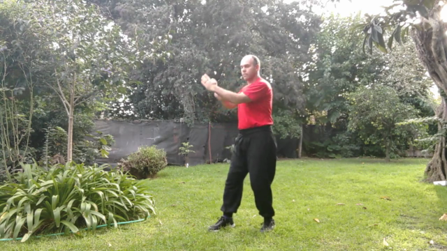 Biu Jee Tao - 3er Forma de mano vacia del Wing Chun – Screenshot 4