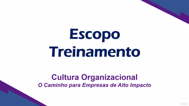 Cultura Organizacional – Screenshot 1