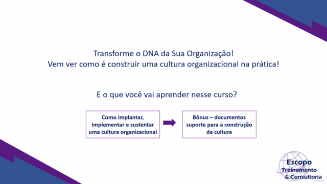 Cultura Organizacional – Screenshot 4