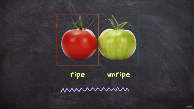 Real-World Object Detection: Waste Sorting & Tomato Ripeness – Screenshot 3