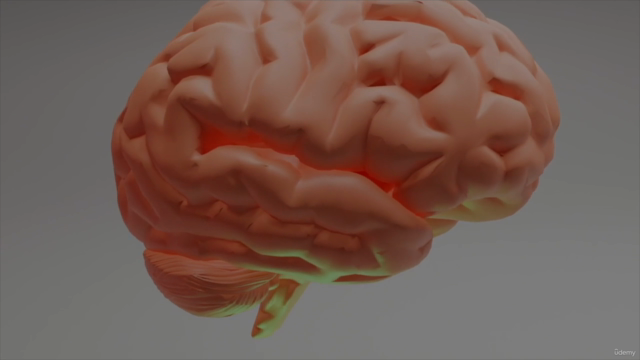 Crash Course Anatomy – Screenshot 1