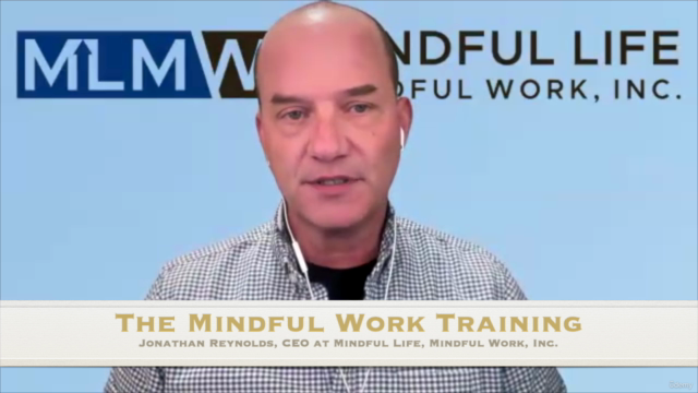 The Mindful Work Training: Purpose, Practices, Protocols – Screenshot 1