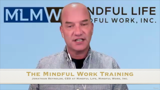 The Mindful Work Training: Purpose, Practices, Protocols – Screenshot 2