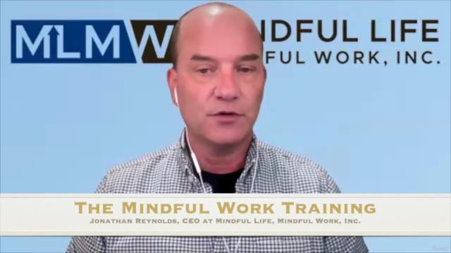 The Mindful Work Training: Purpose, Practices, Protocols – Screenshot 3