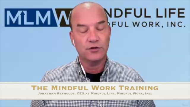 The Mindful Work Training: Purpose, Practices, Protocols – Screenshot 4