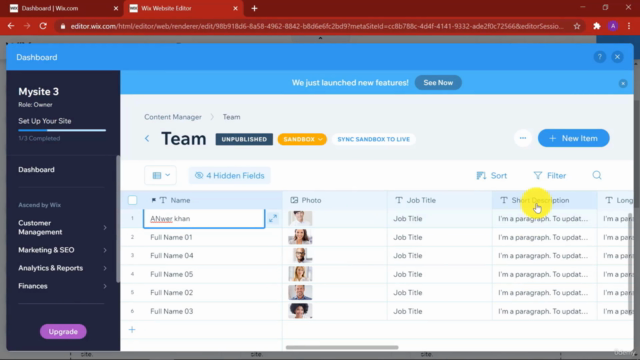 Mastering Wix Build Stunning Websites Without Coding – Screenshot 2