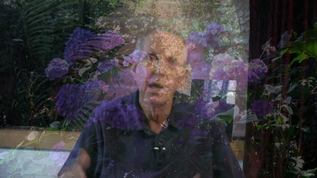 The Fundamentals of Landscape Planting Design – Screenshot 2
