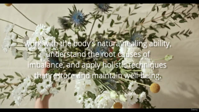 Naturopathy for Beginners Certification Course – Screenshot 2