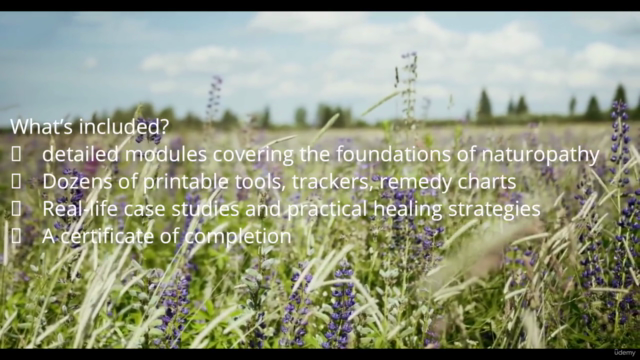 Naturopathy for Beginners Certification Course – Screenshot 4