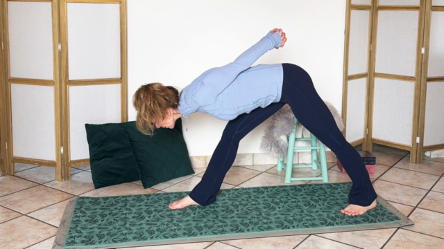 Knee Fix: Yoga for Strong Knees – Screenshot 3