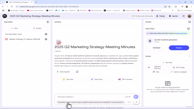 Google NotebookLM AI: Yapay Zekâ ile Verilerinizi Özetleyin – Screenshot 3