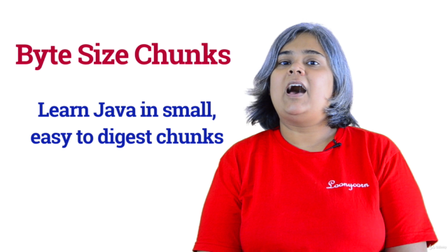 Byte Size Chunks : Java Model-View-Controller (MVC) – Screenshot 1