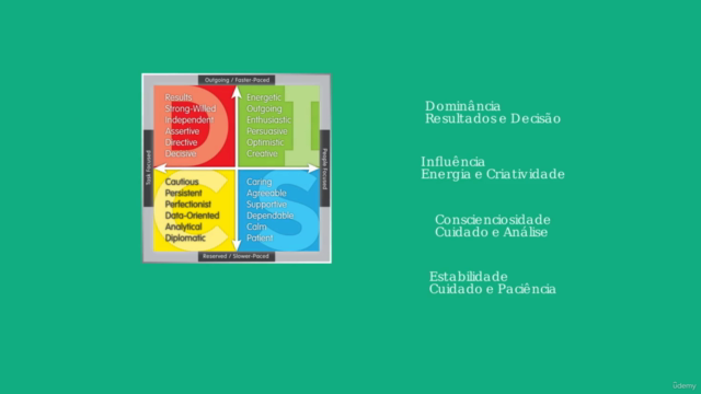 Gestão de Pessoas: Comunicação & Alta Performance com DISC – Screenshot 2