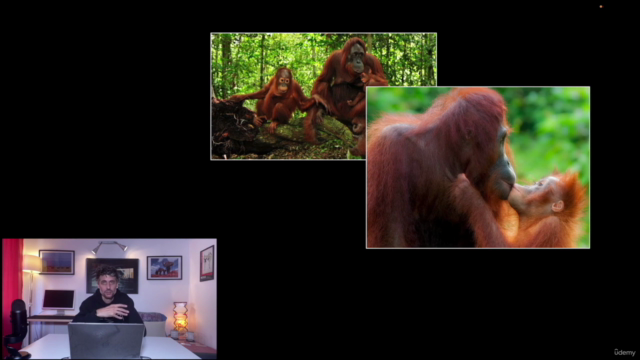 Wildlife Photography: The Ultimate Video Course – Screenshot 3