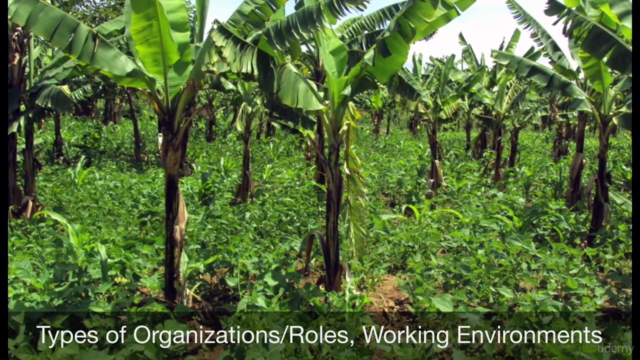 Jump Start Your Career in International Development – Screenshot 3