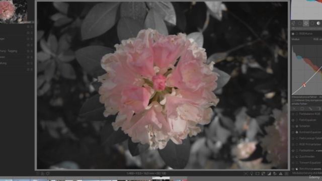 Darktable - Komplettkurs für Einsteiger – Screenshot 2
