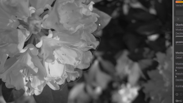 Darktable - Komplettkurs für Einsteiger – Screenshot 4