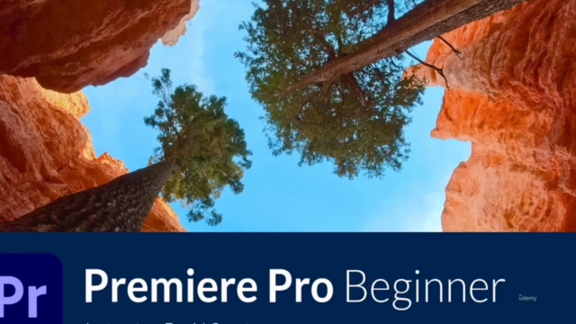 Adobe Premiere Pro Masterclass: Video Editing for Beginners – Screenshot 1