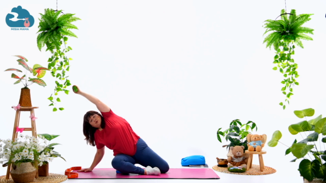 Fit & Ready for Birth: Midwife-Led Prenatal Workout Program – Screenshot 3