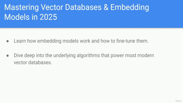 Mastering Vector Databases & Embedding Models in 2025 – Screenshot 3