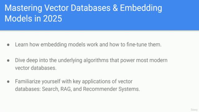 Mastering Vector Databases & Embedding Models in 2025 – Screenshot 4