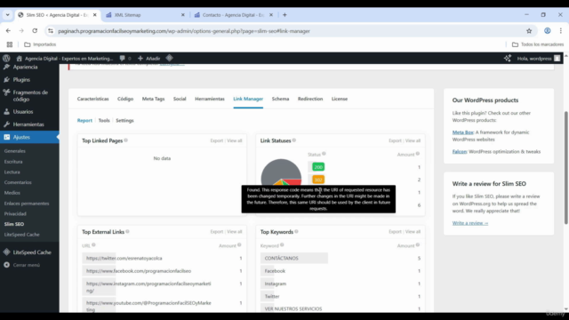 Cómo Automatizar el SEO de tu Sitio Web con Slim SEO – Screenshot 3