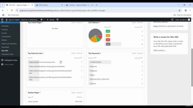 Cómo Automatizar el SEO de tu Sitio Web con Slim SEO – Screenshot 4