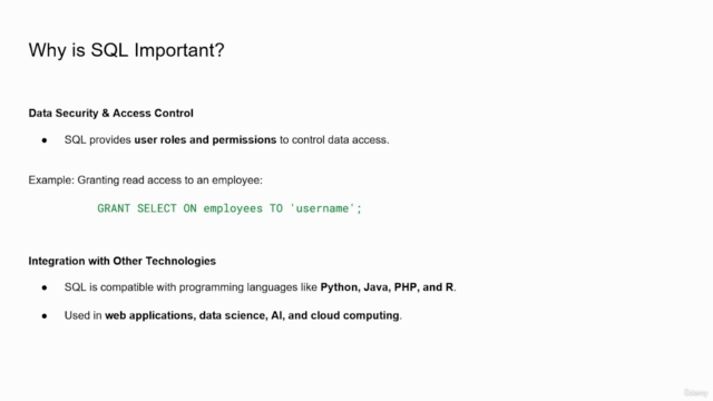 The Complete SQL Course: From Zero to Data Analyst – Screenshot 4
