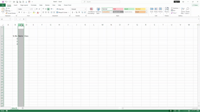 Microsoft Excel for Beginners: Excel for Everyday Use – Screenshot 3