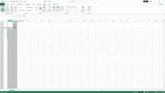 Microsoft Excel for Beginners: Excel for Everyday Use – Screenshot 4