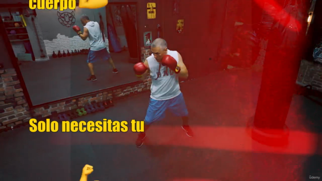 Programa de boxeo de sombra y calistenia (sin equipo) – Screenshot 2