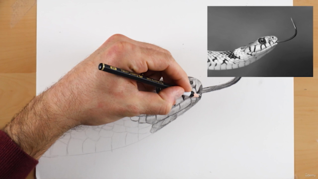 Drawing Made Clear: From Sketch to Realistic Animals – Screenshot 2
