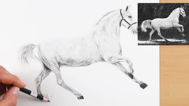 Drawing Made Clear: From Sketch to Realistic Animals – Screenshot 4