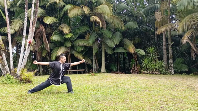 Técnica Clássica do Kung Fu - Tán Tuǐ – Screenshot 1