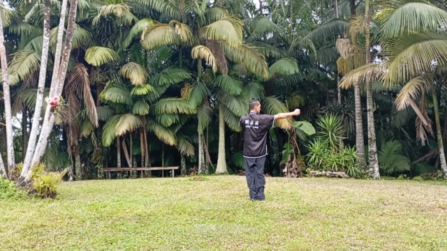 Técnica Clássica do Kung Fu - Tán Tuǐ – Screenshot 2