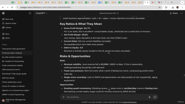 Accounting and Bookkeeping with Python & Generative AI – Screenshot 4