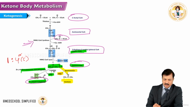 Metabolism of Lipids : Medical Biochemistry – Screenshot 2