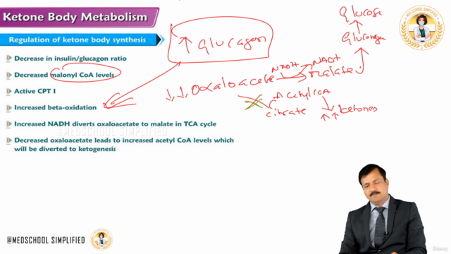 Metabolism of Lipids : Medical Biochemistry – Screenshot 4