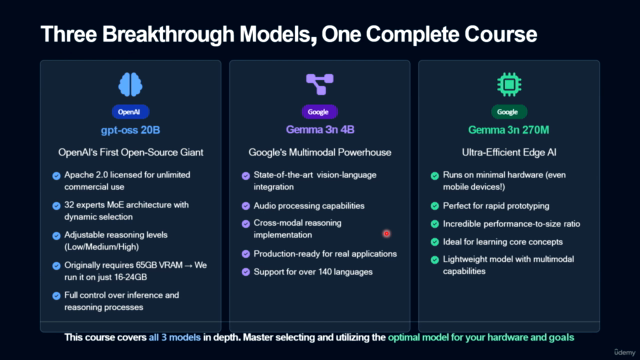 OpenAI GPT-OSS 20B / GEMMA 3N 4B/270M Fine-tuning Guide – Screenshot 1