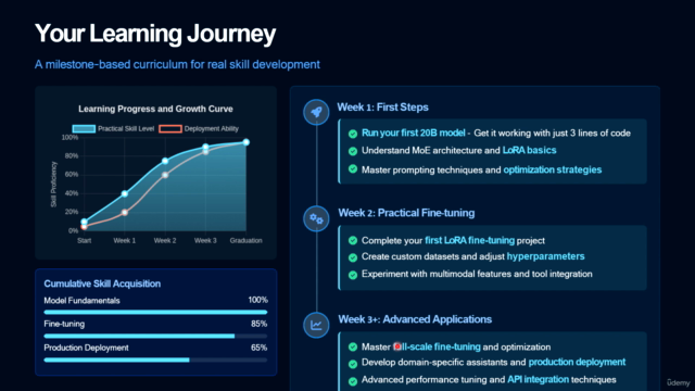 OpenAI GPT-OSS 20B / GEMMA 3N 4B/270M Fine-tuning Guide – Screenshot 4