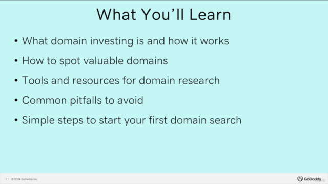 Domain Name Investing 101: A Beginner’s Guide – Screenshot 3