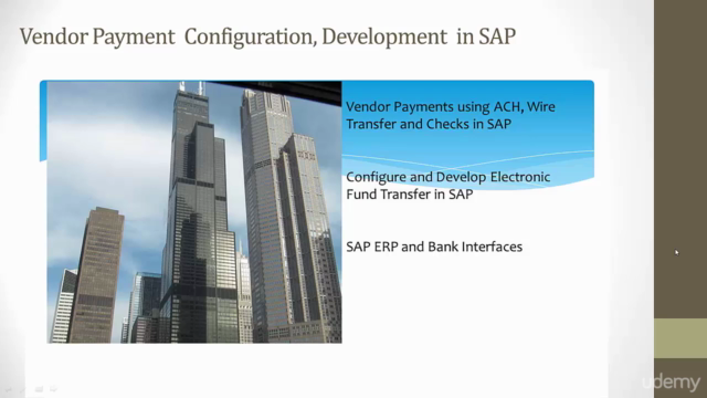 Vendor Payment Config, Development in SAP- WIRE, ACH, Check – Screenshot 1
