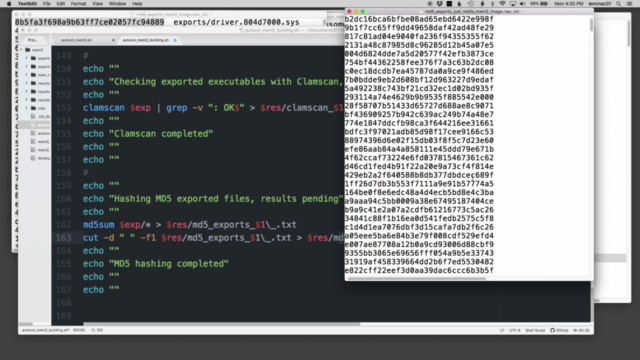 SDF: Memory Forensics 2 – Screenshot 3