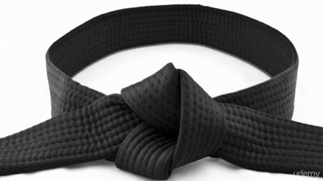 Lean Six Sigma Champion White Belt – Screenshot 2