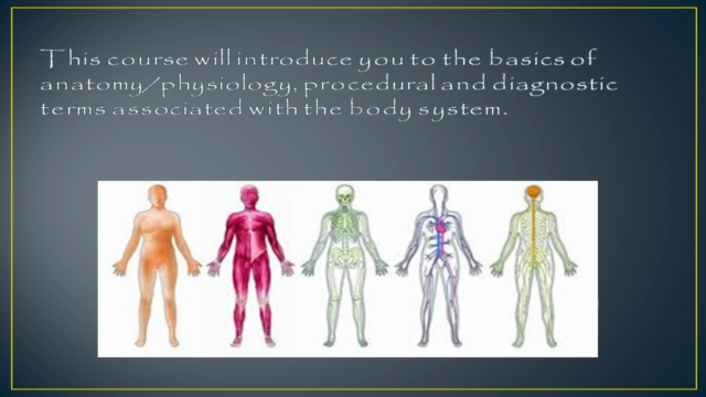 Basics of Medical Terminology – Screenshot 3