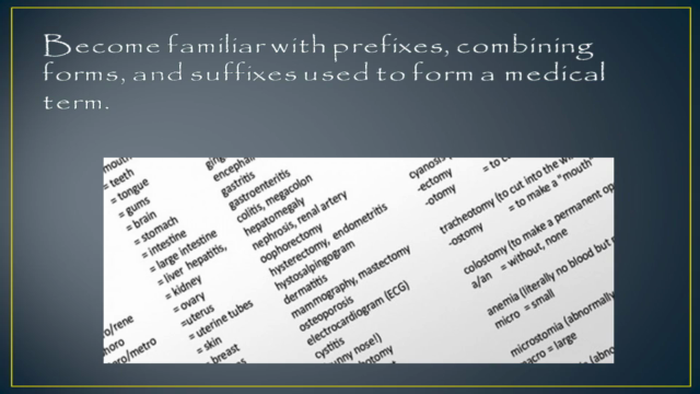 Basics of Medical Terminology – Screenshot 4