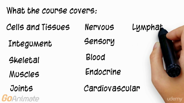 Easy Anatomy and Physiology (Platinum Edition) – Screenshot 3