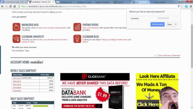 Guide to Effective Affiliate Marketing Strategies – Screenshot 2