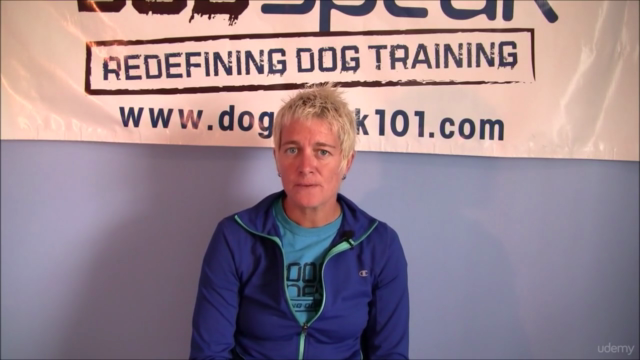 Dog Training: Creating a Solid Foundation for Your Dog – Screenshot 1